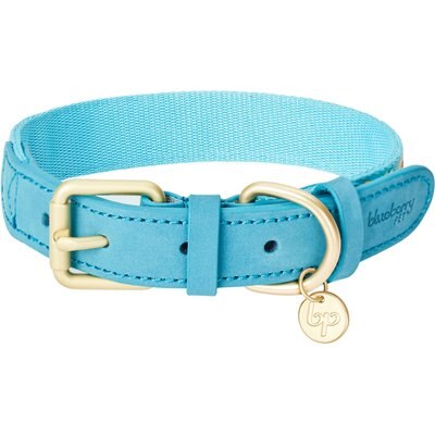 Blueberry Pet Blueberry Pet Leather Tribal Dog Collar, Celeste Blue, Small