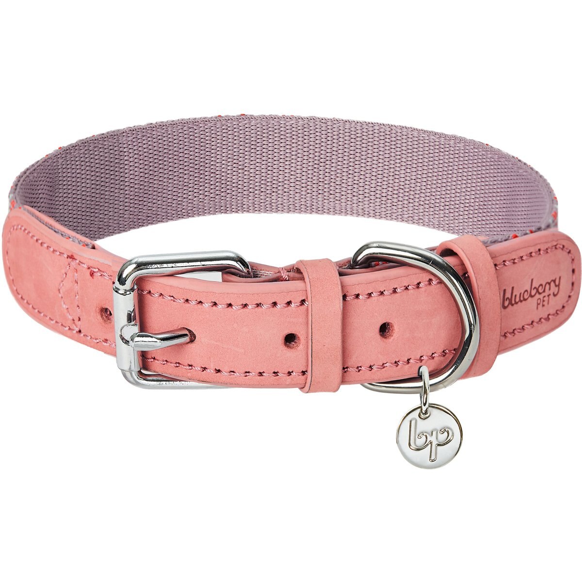 Blueberry Pet Leather Tribal Dog Collar, Thistle, Small