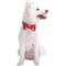 Show in main carousel: Blueberry Pet Luxurious Christmas Festival Striped Dog Collar, Medium slide 4 of 9
