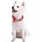 Show in main carousel: Blueberry Pet Luxurious Christmas Festival Striped Dog Collar, Medium slide 5 of 9
