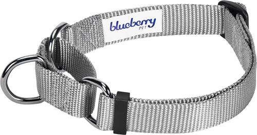 Show full view: Blueberry Pet Martingale Polyester Dog Collar & Leash Set, Flint Gray, Large: 4-ft long, 1-in wide slide 3 of 7