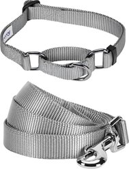 Blueberry Pet Martingale Polyester Dog Collar & Leash Set, Flint Gray, Medium: 14.5 to 20-in neck, 3/4-in wide