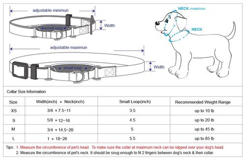 Show full view: Blueberry Pet Martingale Polyester Dog Collar & Leash Set, Flint Gray, Medium: 14.5 to 20-in neck, 3/4-in wide slide 6 of 7