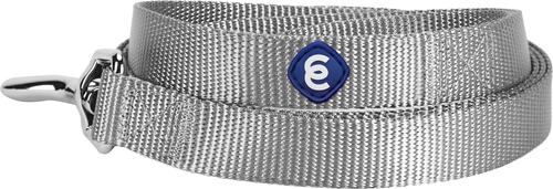 Show full view: Blueberry Pet Martingale Polyester Dog Collar & Leash Set, Flint Gray, Medium: 14.5 to 20-in neck, 3/4-in wide slide 5 of 7