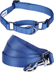 Blueberry Pet Martingale Polyester Dog Collar & Leash Set, Marina Blue, Medium: 14.5 to 20-in neck, 3/4-in wide