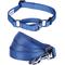 Show in main carousel: Blueberry Pet Martingale Polyester Dog Collar & Leash Set, Marina Blue, Medium: 14.5 to 20-in neck, 3/4-in wide slide 1 of 6