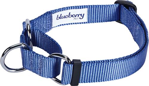 Show full view: Blueberry Pet Martingale Polyester Dog Collar & Leash Set, Marina Blue, Medium: 14.5 to 20-in neck, 3/4-in wide slide 2 of 6
