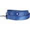 Show in main carousel: Blueberry Pet Martingale Polyester Dog Collar & Leash Set, Marina Blue, Medium: 14.5 to 20-in neck, 3/4-in wide slide 4 of 6