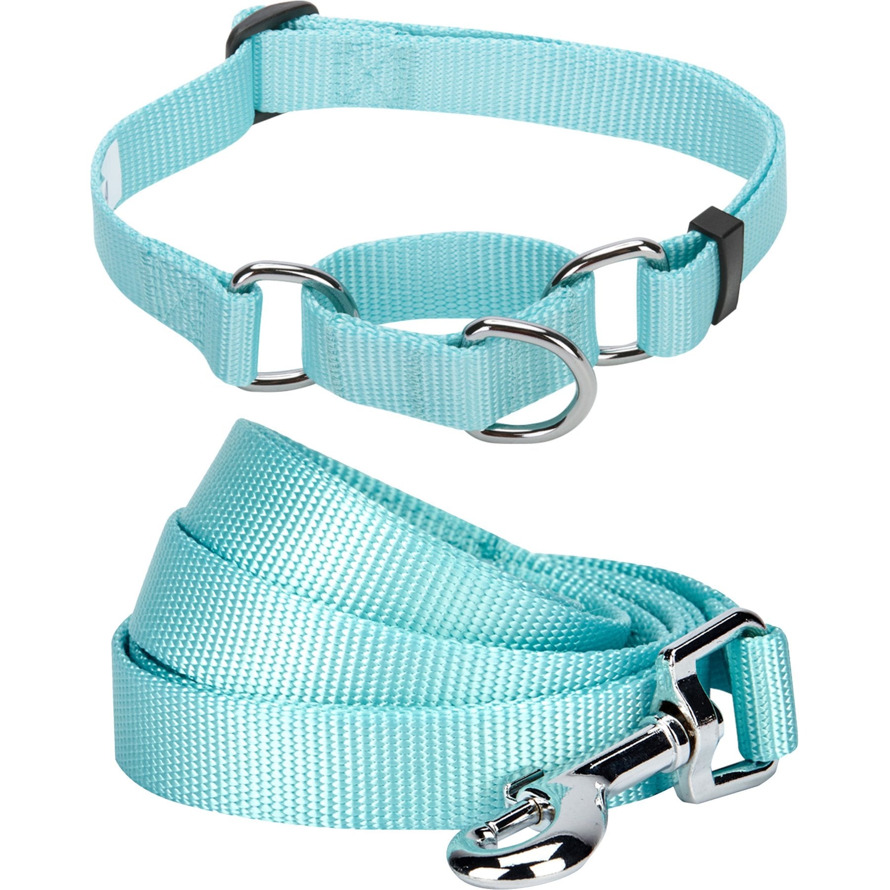 Blueberry Pet Martingale Polyester Dog Collar & Leash Set, Mint Blue, Small: 12 to 16-in neck, 5/8-in wide