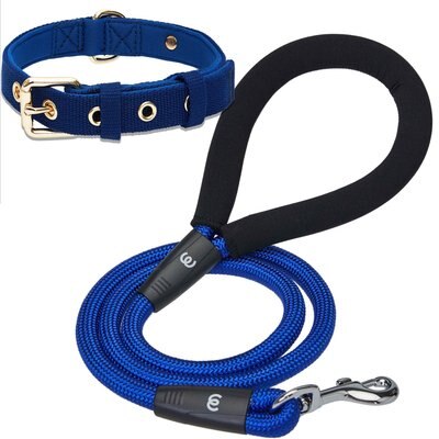 Blueberry Pet Blueberry Pet Modern Iconic Padded Polyester Dog Collar & Leash Set, Indigo Blue, Medium: 14.5 to 20-in neck, 1/2-in wide