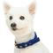 Show in main carousel: Blueberry Pet Modern Iconic Padded Polyester Dog Collar & Leash Set, Indigo Blue, Medium: 14.5 to 20-in neck, 1/2-in wide slide 2 of 5