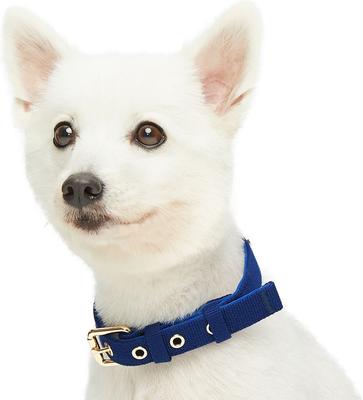 Show full view: Blueberry Pet Modern Iconic Padded Polyester Dog Collar & Leash Set, Indigo Blue, Medium: 14.5 to 20-in neck, 1/2-in wide slide 2 of 5
