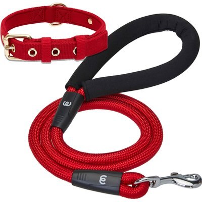 Blueberry Pet Blueberry Pet Modern Iconic Padded Polyester Dog Collar & Leash Set, Scarlet Red, Large: 18 to 26-in neck, 1/2-in wide