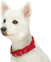 Blueberry Pet Modern Iconic Padded Polyester Dog Collar & Leash Set, Scarlet Red, Large: 18 to 26-in neck, 1/2-in wide slide 2 of 5