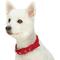 Show in main carousel: Blueberry Pet Modern Iconic Padded Polyester Dog Collar & Leash Set, Scarlet Red, Medium: 14.5 to 20-in neck, 1/2-in wide slide 3 of 6