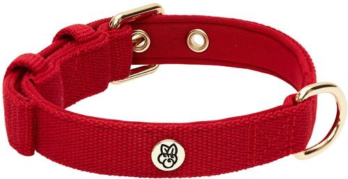 Show full view: Blueberry Pet Modern Iconic Padded Polyester Dog Collar & Leash Set, Scarlet Red, Medium: 14.5 to 20-in neck, 1/2-in wide slide 4 of 6