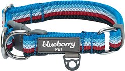 Blueberry Pet Multi-Colored Stripe Adjustable Dog Collar, Azure Blue & Raspberry Red, Large: 18 to 26-in neck
