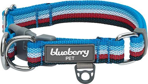 Show full view: Blueberry Pet Multi-Colored Stripe Adjustable Dog Collar, Azure Blue & Raspberry Red, Small: 12 to 16-in neck slide 1 of 8