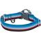 Show in main carousel: Blueberry Pet Multi-Colored Stripe Adjustable Dog Collar, Azure Blue & Raspberry Red, Small: 12 to 16-in neck slide 5 of 8