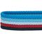 Show in main carousel: Blueberry Pet Multi-Colored Stripe Adjustable Dog Collar, Azure Blue & Raspberry Red, Small: 12 to 16-in neck slide 6 of 8