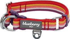 Blueberry Pet Multi-Colored Stripe Adjustable Dog Collar, Mixed Tone Rainbow Color, Small: 12 to 16-in neck