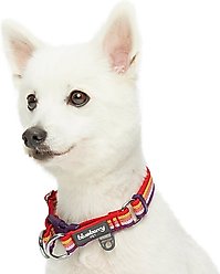 Blueberry Pet Multi-Colored Stripe Adjustable Dog Collar, Mixed Tone Rainbow Color, Small: 12 to 16-in neck slide 2 of 6