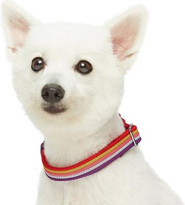 Show full view: Blueberry Pet Multi-Colored Stripe Adjustable Dog Collar, Mixed Tone Rainbow Color, Small: 12 to 16-in neck slide 3 of 7
