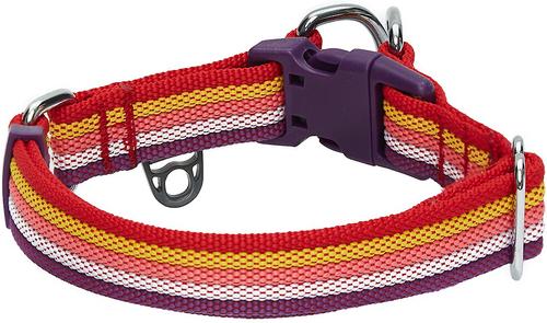 Show full view: Blueberry Pet Multi-Colored Stripe Adjustable Dog Collar, Mixed Tone Rainbow Color, Small: 12 to 16-in neck slide 4 of 7