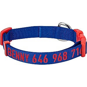Blueberry Pet National Pride USA Flag Personalized Dog Collar, Blue, Medium: 14.5 to 20-in neck 3/4-in wide