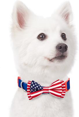 Show full view: Blueberry Pet National Pride USA Flag Personalized Dog Collar, Blue, Medium: 14.5 to 20-in neck 3/4-in wide slide 3 of 7