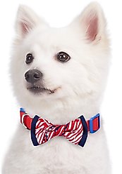 Blueberry Pet National Pride USA Flag Personalized Dog Collar, Red, Small: 12 to 16-in neck, 5/8-in wide slide 2 of 6