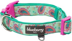 Blueberry Pet Paisley Print Polyester Dog Collar, Emerald Green, Large: 18 to 26-in neck, 1-in wide