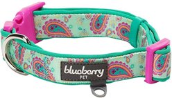 Blueberry Pet Paisley Print Polyester Dog Collar, Emerald Green, Small: 12 to 16-in neck, 5/8-in wide