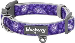 Blueberry Pet Paisley Print Polyester Dog Collar, Violet, Large: 18 to 26-in neck, 1-in wide
