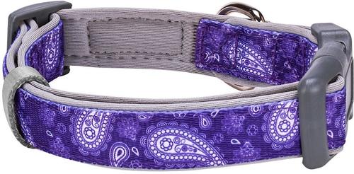 Show full view: Blueberry Pet Paisley Print Polyester Dog Collar, Violet, Large: 18 to 26-in neck, 1-in wide slide 2 of 8