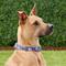 Show in main carousel: Blueberry Pet Paisley Print Polyester Dog Collar, Violet, Large: 18 to 26-in neck, 1-in wide slide 5 of 8