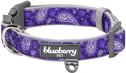 Blueberry Pet Paisley Print Polyester Dog Collar, Violet, Medium: 14.5 to 20-in neck, 3/4-in wide