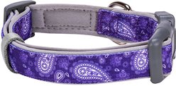 Blueberry Pet Paisley Print Polyester Dog Collar, Violet, Small: 12 to 16-in neck, 5/8-in wide slide 2 of 6