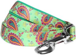 Blueberry Pet Paisley Print Polyester Dog Leash, Emerald Green, Large: 4-ft long, 1-in wide