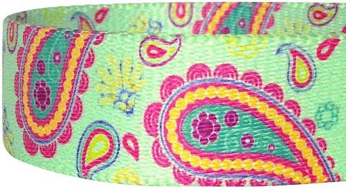 Show full view: Blueberry Pet Paisley Print Polyester Dog Leash, Emerald Green, Large: 4-ft long, 1-in wide slide 4 of 7