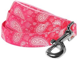 Blueberry Pet Paisley Print Polyester Dog Leash, Pink, Medium: 5-ft long, 3/4-in wide