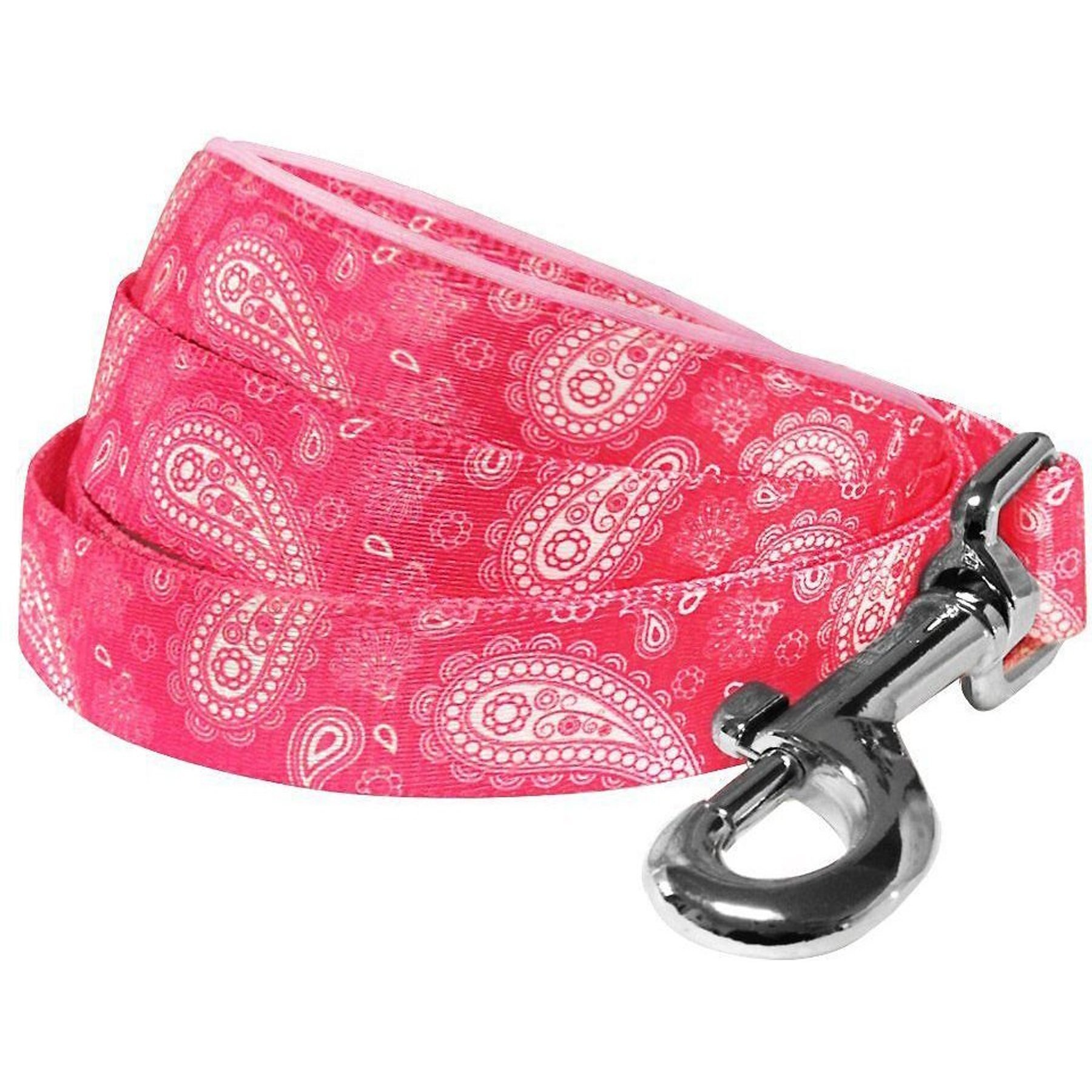 Blueberry Pet Paisley Print Polyester Dog Leash, Pink, Medium: 5-ft long, 3/4-in wide