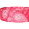 Show in main carousel: Blueberry Pet Paisley Print Polyester Dog Leash, Pink, Medium: 5-ft long, 3/4-in wide slide 5 of 8