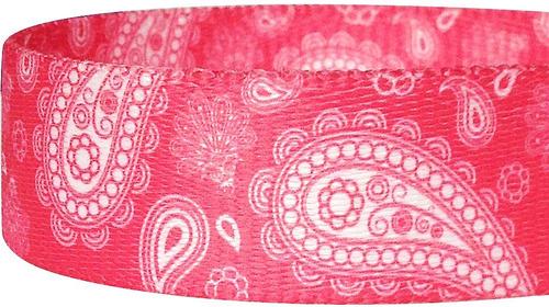 Show full view: Blueberry Pet Paisley Print Polyester Dog Leash, Pink, Medium: 5-ft long, 3/4-in wide slide 5 of 8