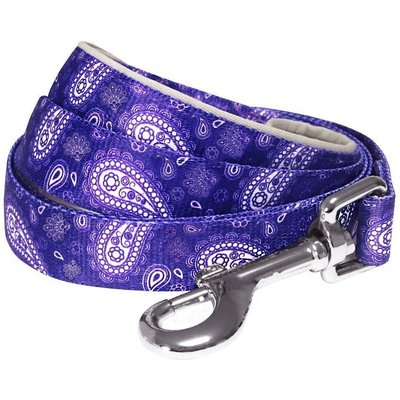 Blueberry Pet Blueberry Pet Paisley Print Polyester Dog Leash, Violet, Small: 5-ft long, 5/8-in wide