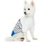 Show in main carousel: Blueberry Pet Pocket Cotton Personalized Dog T-Shirt, Blue, 16-in slide 2 of 6
