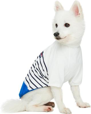 Show full view: Blueberry Pet Pocket Cotton Personalized Dog T-Shirt, Blue, 16-in slide 2 of 6
