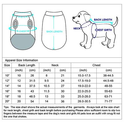 Show full view: Blueberry Pet Pocket Cotton Personalized Dog T-Shirt, Blue, 16-in slide 5 of 6