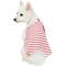 Show in main carousel: Blueberry Pet Pocket Cotton Personalized Dog T-Shirt, Pink, 18-in slide 2 of 5