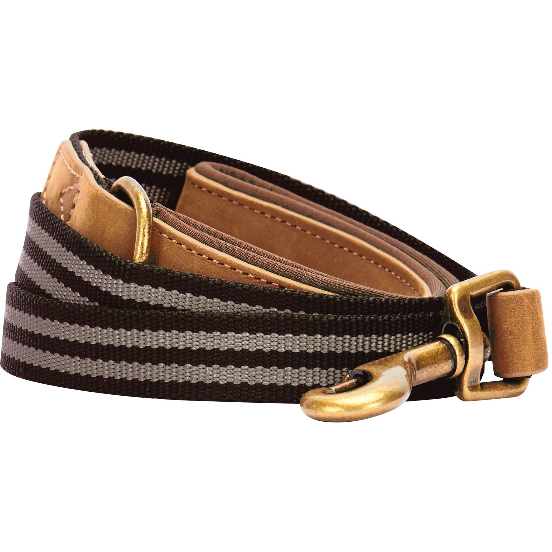 Blueberry Pet Polyester Fabric Webbing & Soft Genuine Leather Dog Leash, Chocolate/Taupe, Large : 6-ft long, 1-in wide
